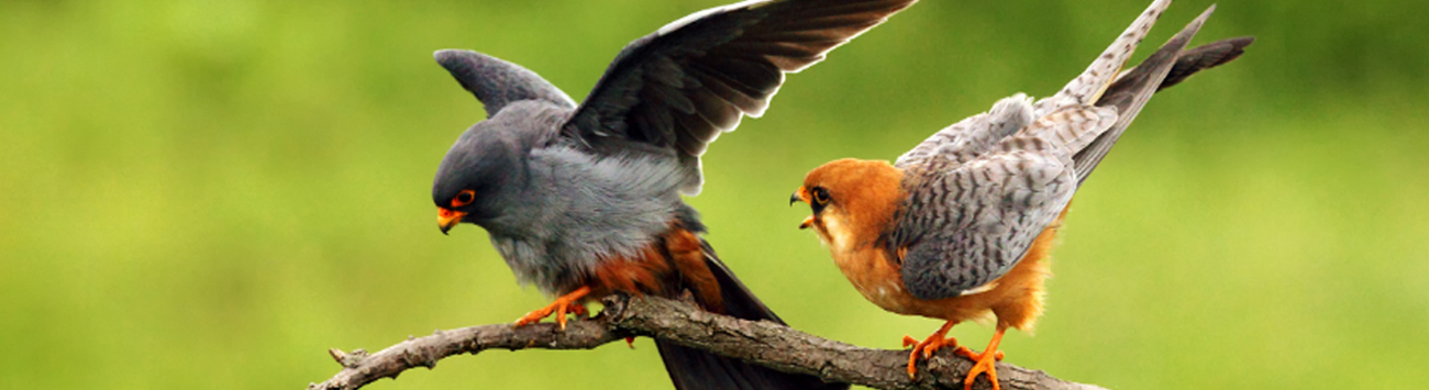 提案者メッセージ